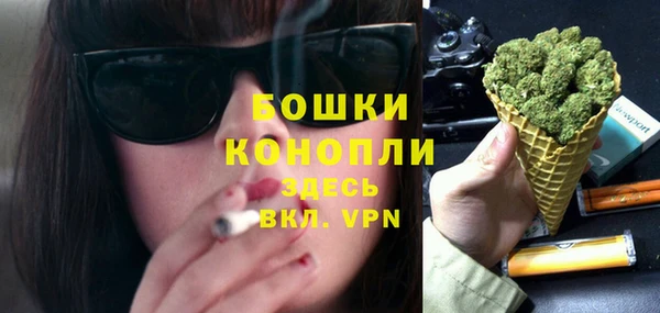винт Гусь-Хрустальный