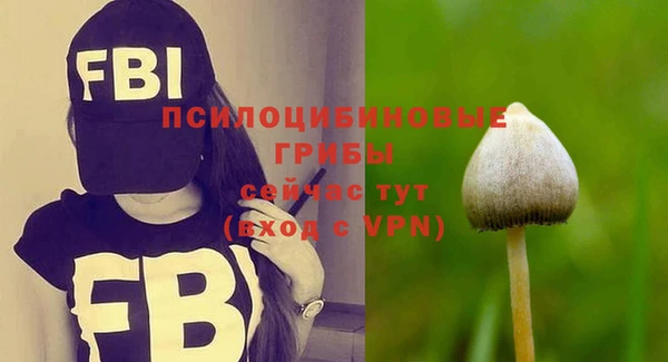 гашиш Гусев