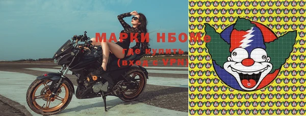 винт Гусь-Хрустальный