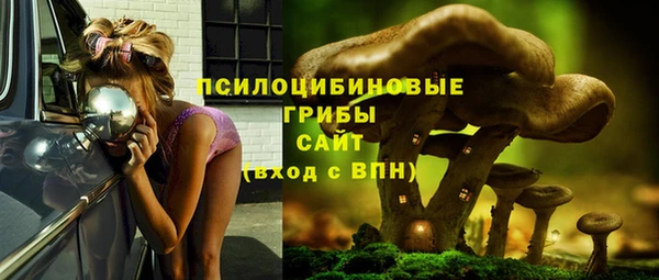 винт Гусь-Хрустальный